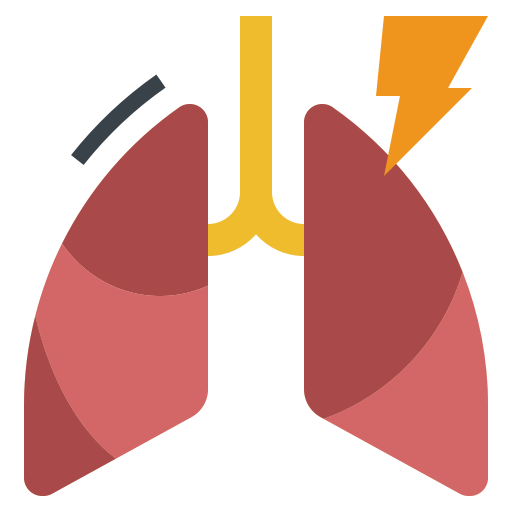 lungs and airway
